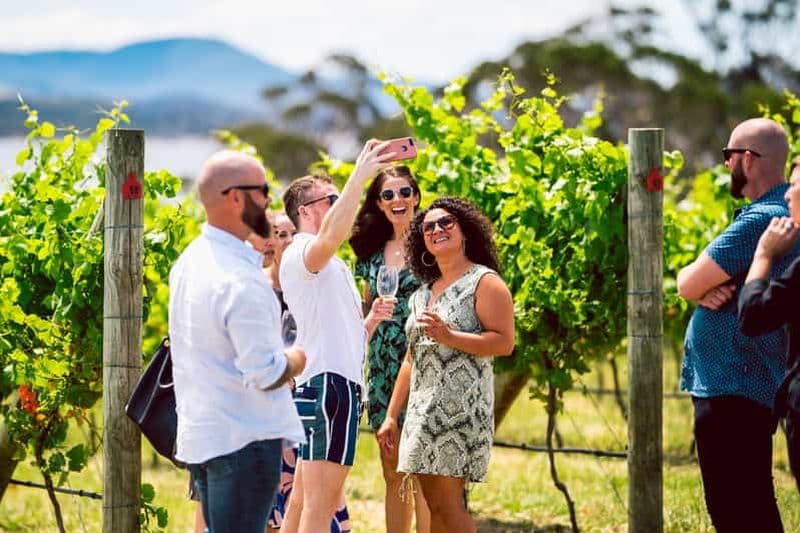 Depuis Hobart : visite des vins de Tasmanie