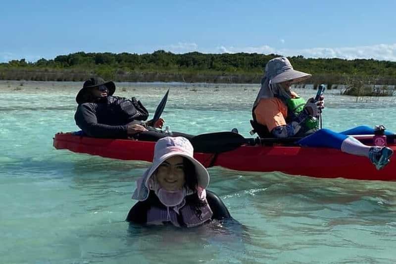 Depuis Mérida : Excursion en kayak sur la plage de Sisal et les mangroves