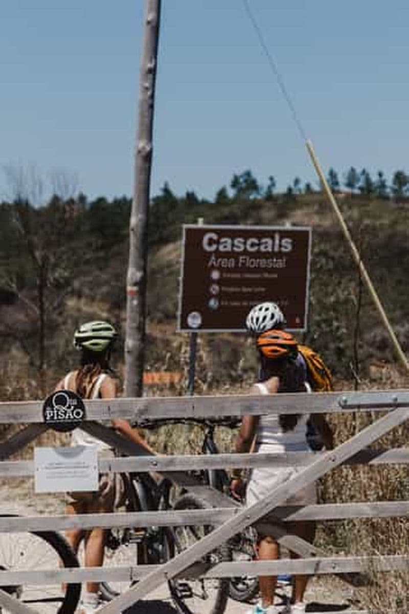Sintra : Des paysages incroyables à découvrir en vélo électrique