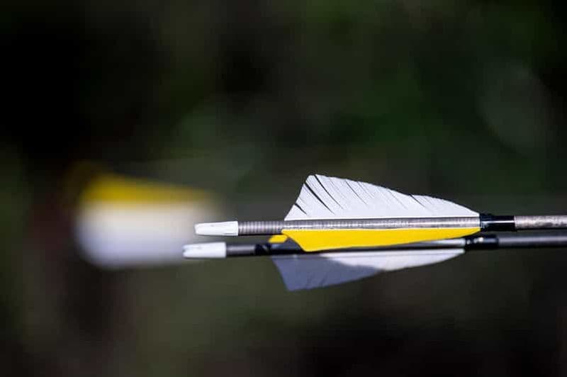 Tir à l'arc sur cible - Plettenberg Bay