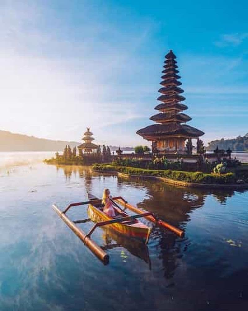 Billet Nord de Bali : Dauphin, temple Ulun Danu et cascade de Banyumala