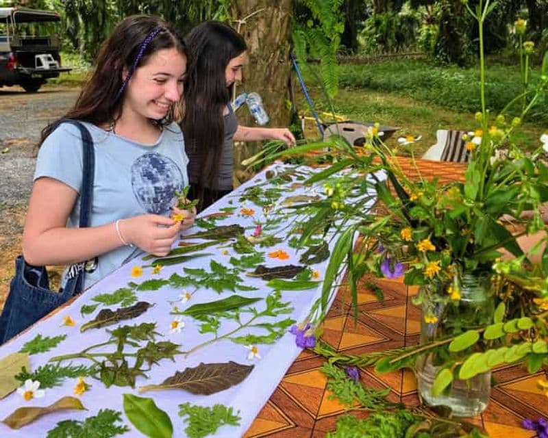 Krabi Quad : Paddle, impression écologique, récolte de caoutchouc et pinède