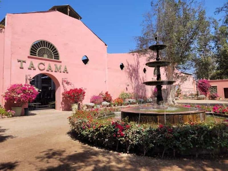 ICA : Route du pisco et des vins avec dégustation dans 03 caves à vin