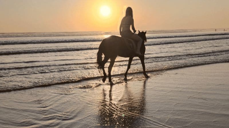 Bali : Randonnée à cheval sur la plage de Seminyak