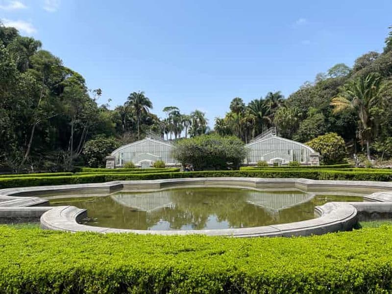 São Paulo : visite guidée du jardin botanique avec un biologiste
