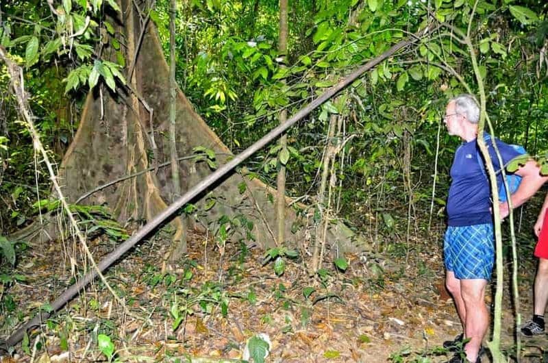 Au départ de Krabi : Safari d'une journée à Khao Sok et de deux jours au lac Cheow Lan