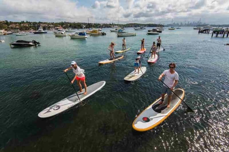 Watsons Bay : expérience de stand up paddle dans le port de Sydney