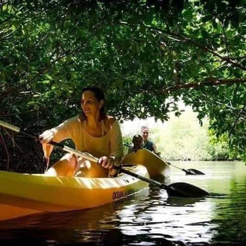 Zanzibar : 3 heures de kayak dans la forêt de mangroves