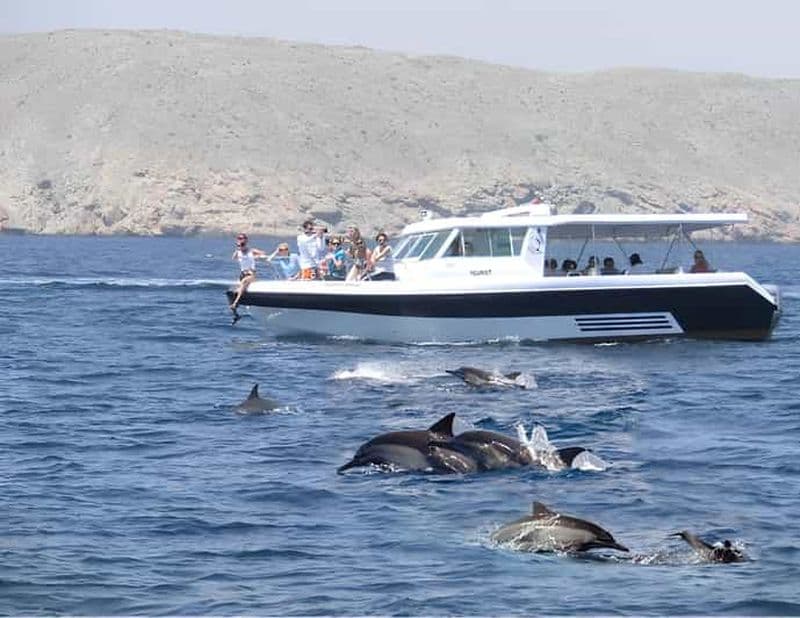 Muscat : Excursion en bateau pour observer les dauphins avec collations et guide de la région