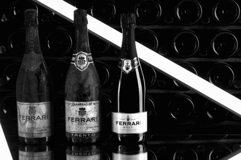 Trente : Visite d'un vignoble Ferrari et déjeuner local près des Dolomites