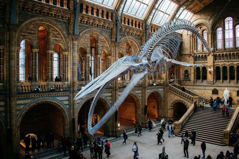Londres : Musée d'histoire naturelle Entrée réservée et visite audio