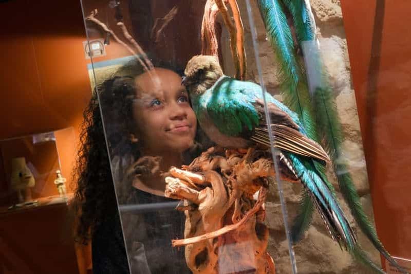 Billet Paris : Billet d'entrée au Musée du Chocolat