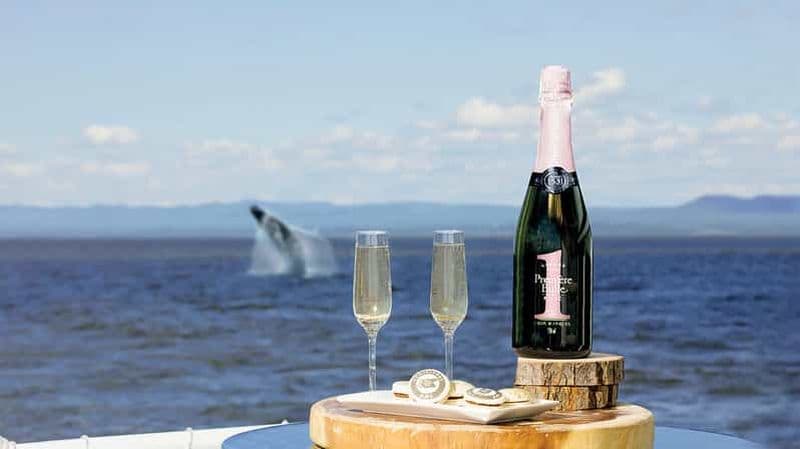 Tadoussac/Charlevoix : salon VIP OU pont supérieur pour l'observation des baleines
