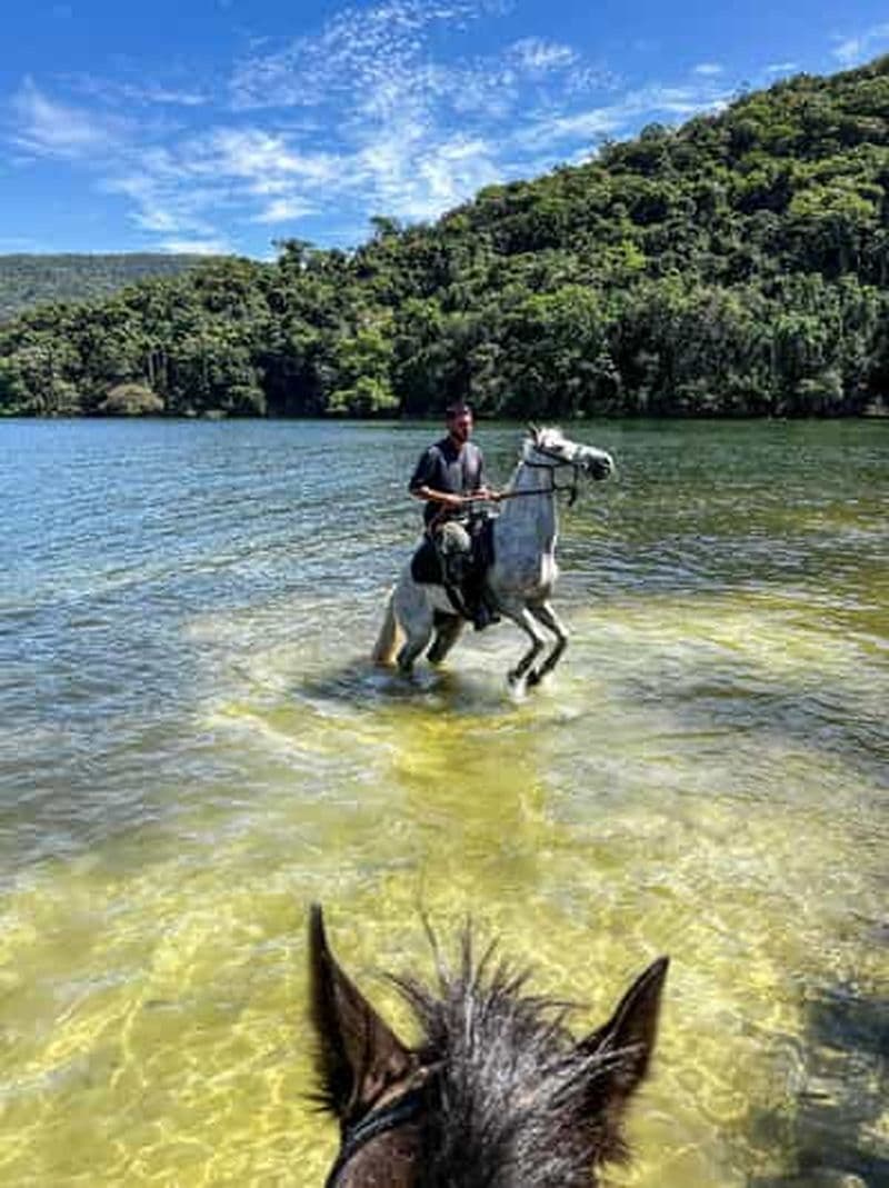 Billet Florianópolis : balade à cheval cinématographique dans un paysage unique
