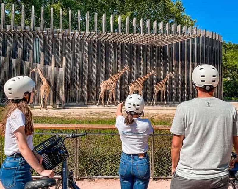Découvrez le parc emblématique de la Tête d'Or à Lyon à vélo.
