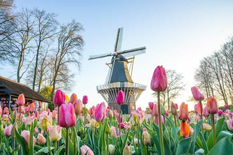 Amsterdam : Keukenhof et Zaanse Schans - Visite guidée en direct d'une journée