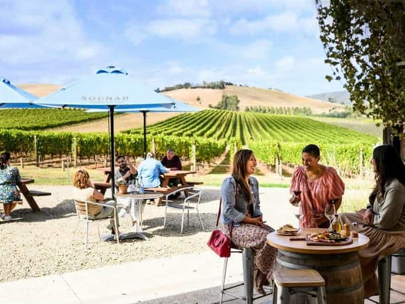 Melbourne : visite des vignobles de la vallée de Yarra en petit groupe