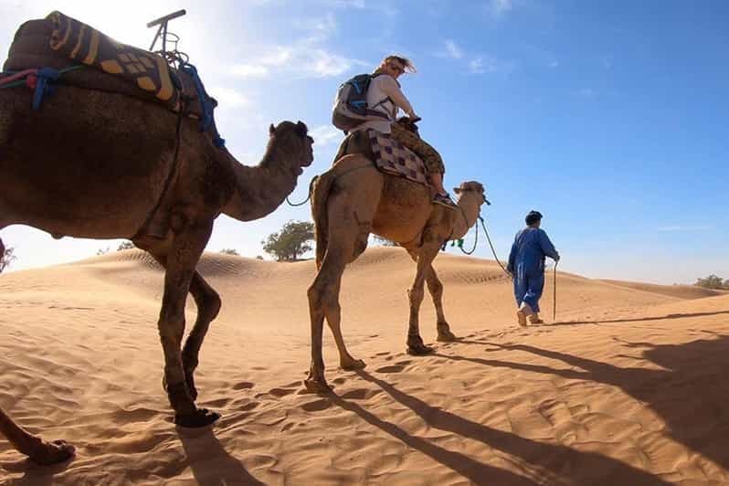 Au départ de Marrakech : 4 jours de safari privé dans le désert de Merzouga et campement de luxe