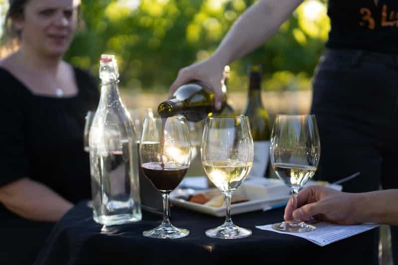 Vol de 3 oiseaux étranges Vin et fromage