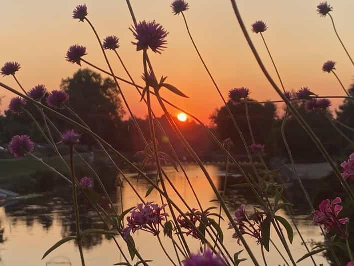 Bâle : envie d'une balade à vélo à travers 3 pays en 60 minutes ?