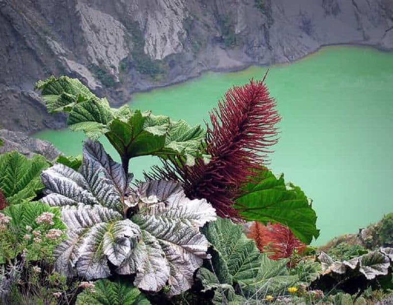 Billet Depuis San Jose : Randonnée au cratère du volcan Irazu et excursion à Cartago