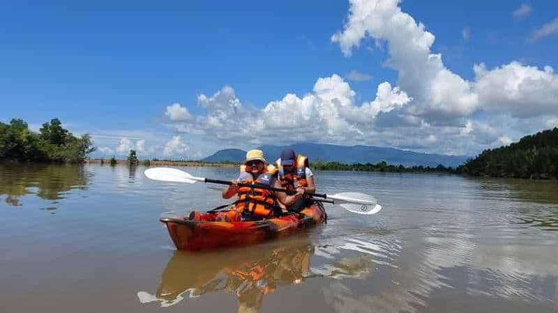 Visite guidée d'une demi-journée en kayak dans la forêt de mangroves vertes