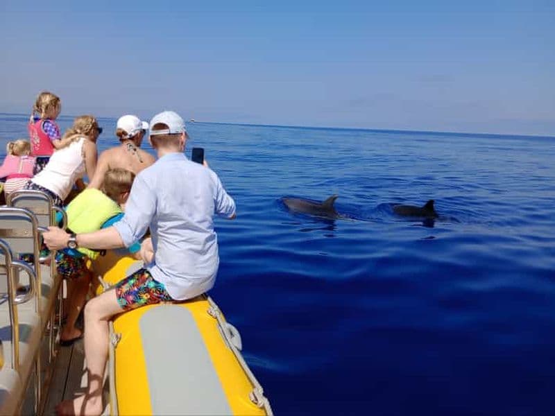 Can Picafort : tour en bateau pour observer les dauphins, arrêt baignade
