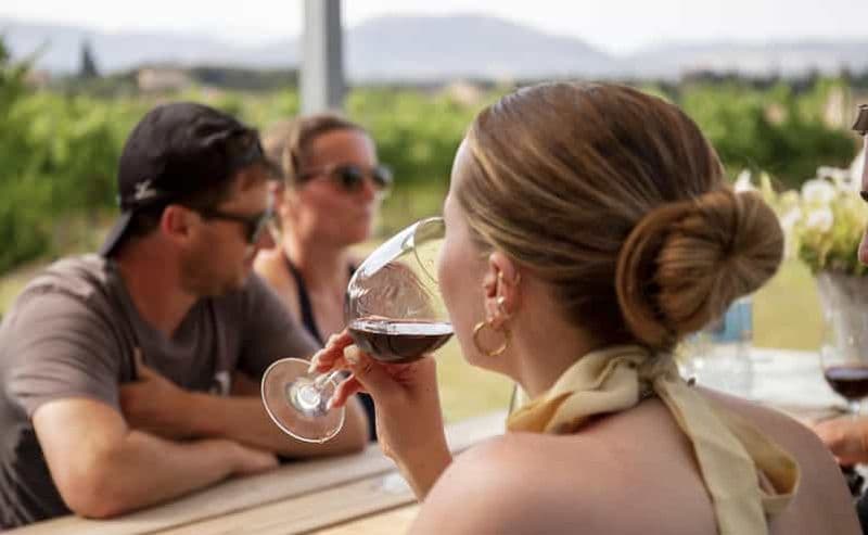 Alcúdia/Can Picafort : Visite guidée des vignobles et dégustation de vin