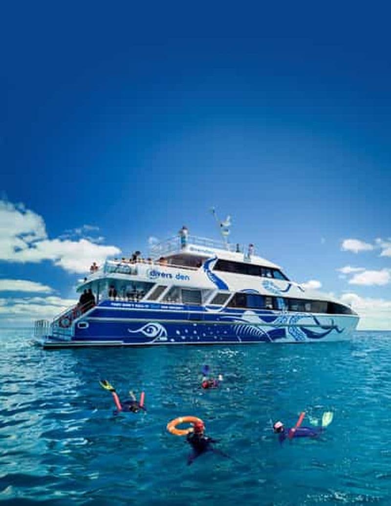 Cairns : excursion premium de plongée et snorkeling à la GBC