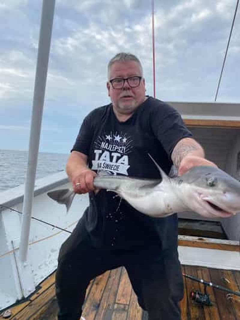 Billet Stavanger : excursion de pêche de 5 heures avec équipement et guide