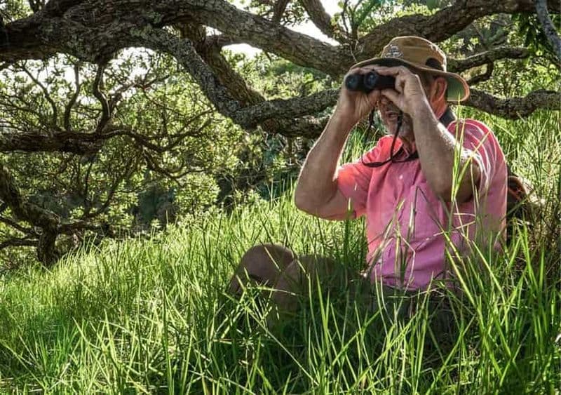 Île de Waiheke : visite privée d'observation des oiseaux | Terra & Tide