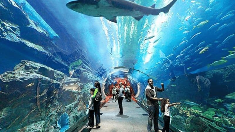 Pattaya : Billet pour l'aquarium Underwater World Pattaya