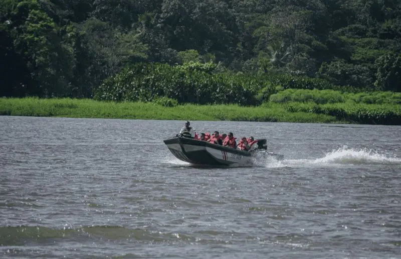 Excursion en bateau à moteur dans le parc national de Tortuguero **Meilleur vendeur**