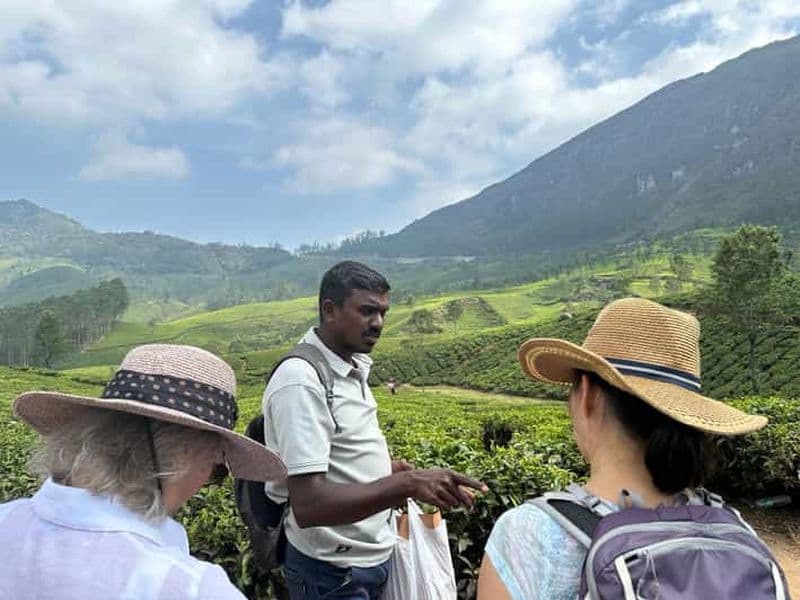 Munnar : Sentier du Thé, Usine de Thé et Visite de Dégustation de Thé