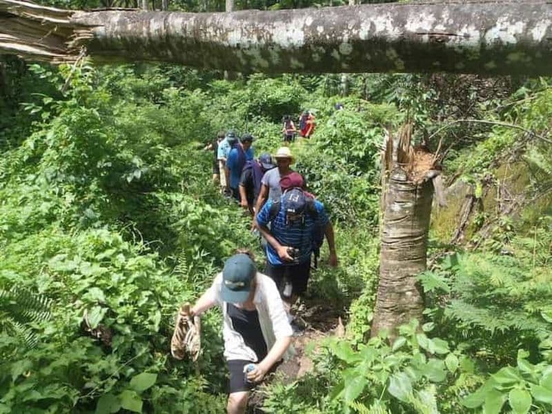 NADI : Safari avec bain de boue et source thermale