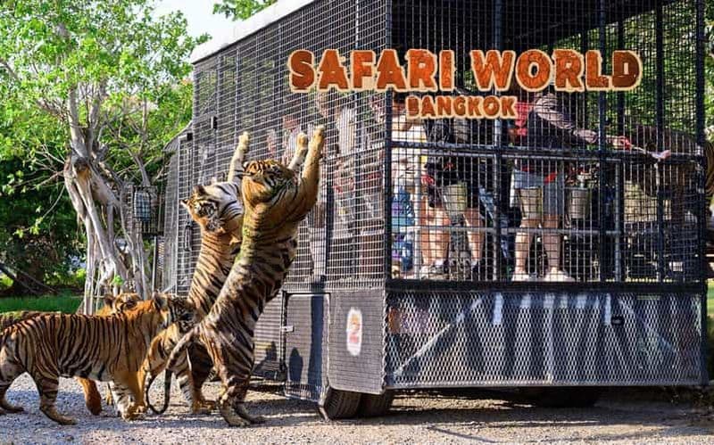 Bangkok : Forfait transfert Safari World avec billets d'entrée