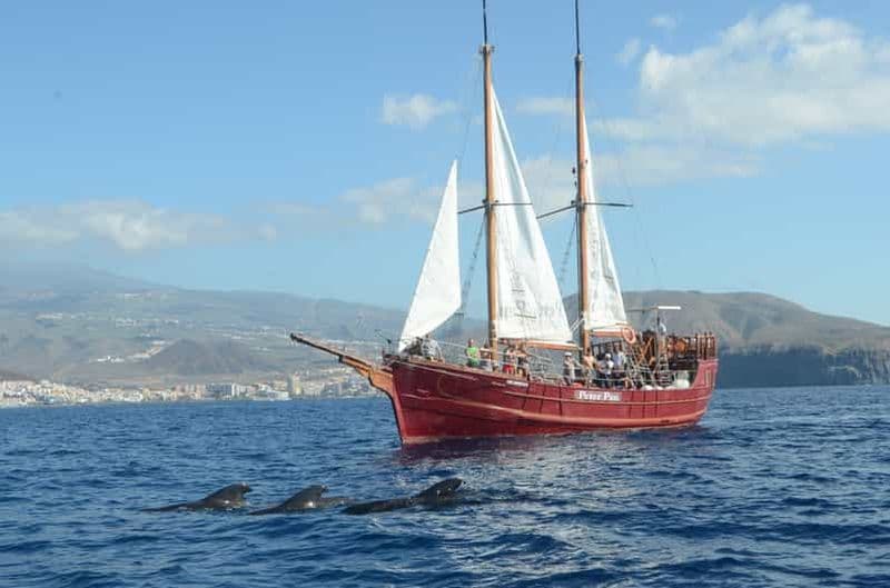 Billet Los Cristianos : observation respectueuse des baleines en bateau pirate et baignade