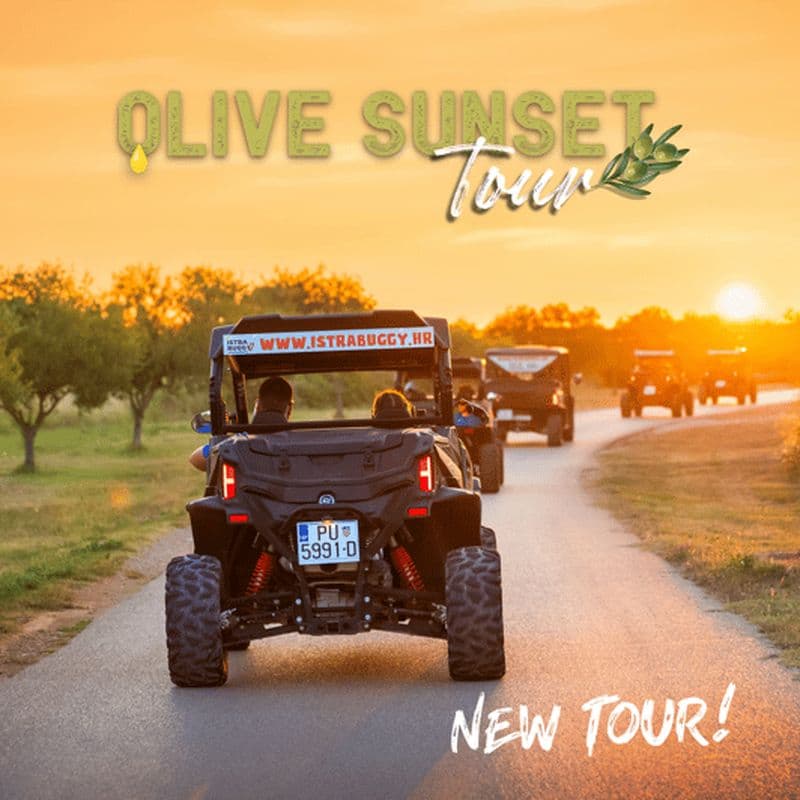 Fažana/Pula : excursion en buggy au coucher du soleil et dégustation d'huile d'olive