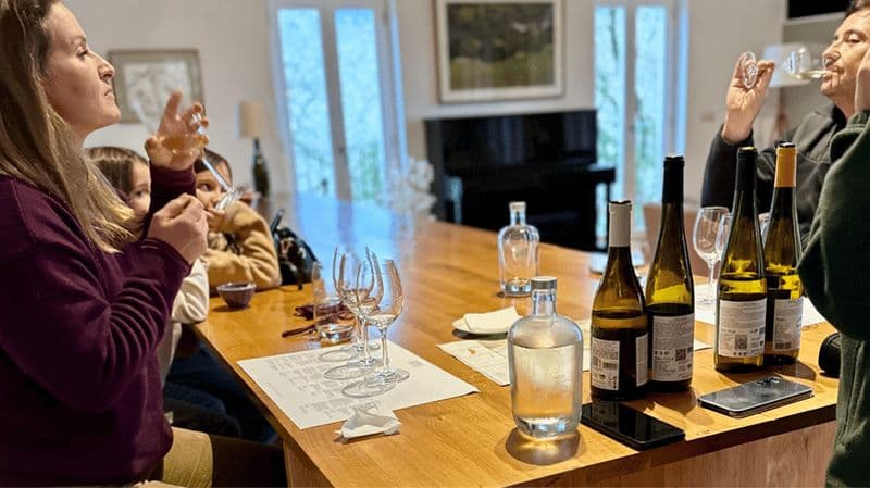 Billet Visite de la vallée de Lima avec dégustation de vins et gastronomie locale