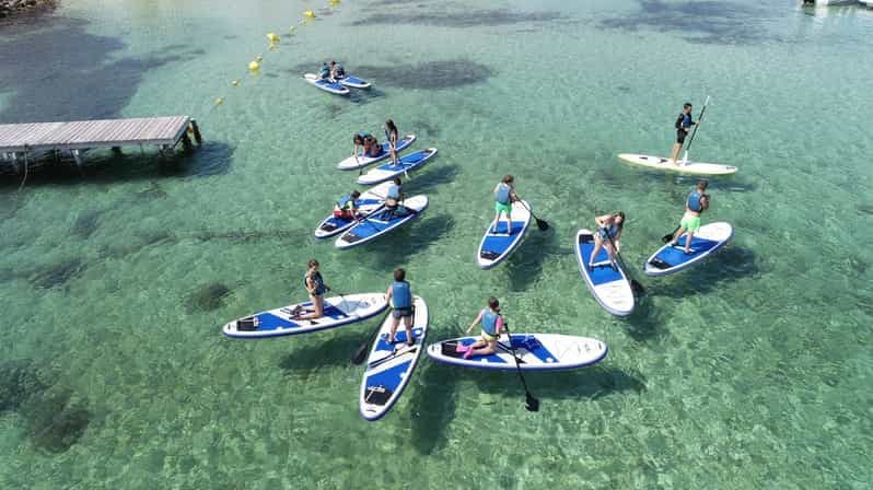 Baie de Fornells : excursion de 2 heures en stand-up paddle