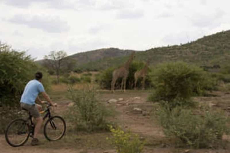 Sun City : Piste de VTT du parc animalier de Letsatsing