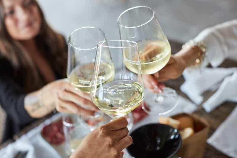 Desenzano : Dégustation de vins et visite du vignoble de Lugana