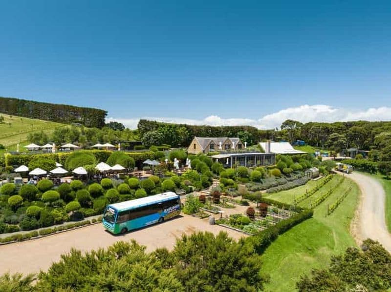 Billet Île Waiheke : billets pour le ferry et le bus à arrêts multiples Explorer