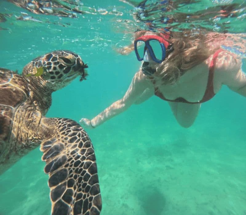 Mirissa : plongée avec tortues et aventure écologique avec un guide de la région