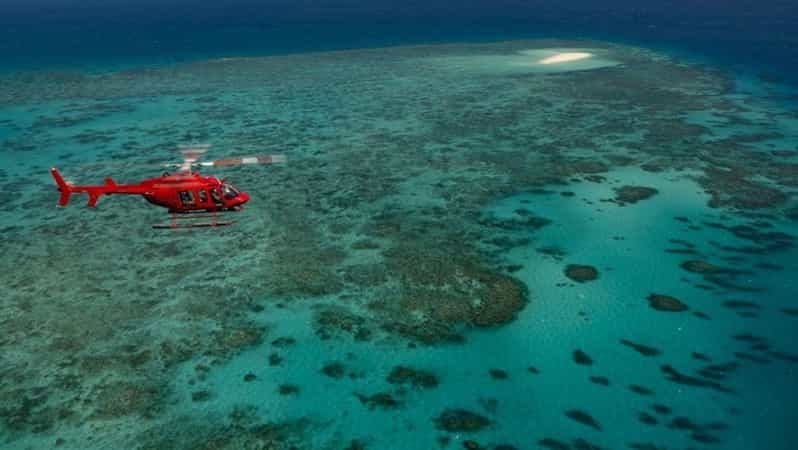Cairns : Vol de 30 minutes en hélicoptère sur la Grande Barrière de Corail