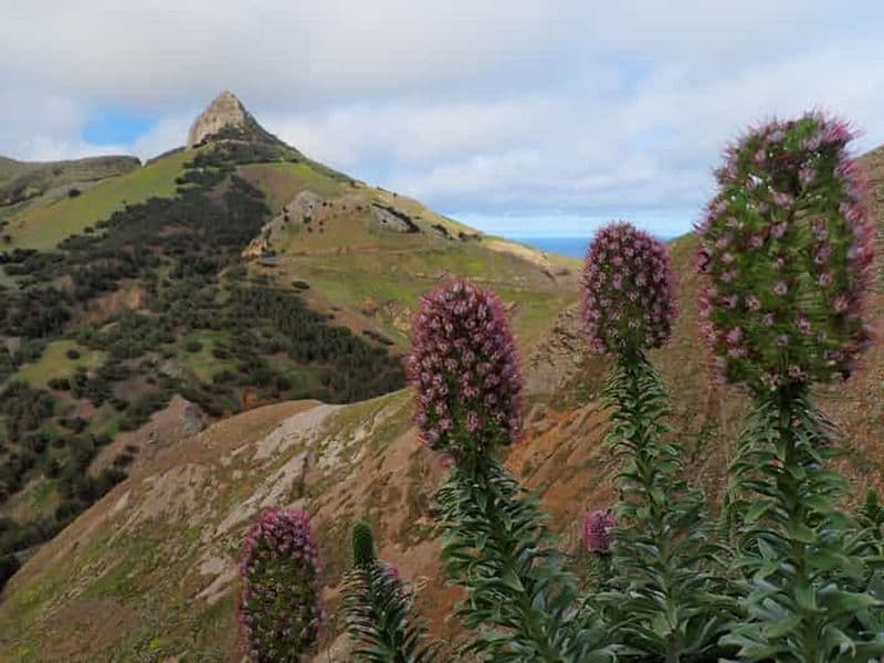 Porto Santo : randonnée à Terra Chã et Pico Branco