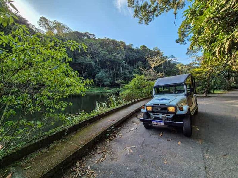 Jeep'n'Green : Jardin botanique de Rio et visite de la forêt tropicale de Tijuca