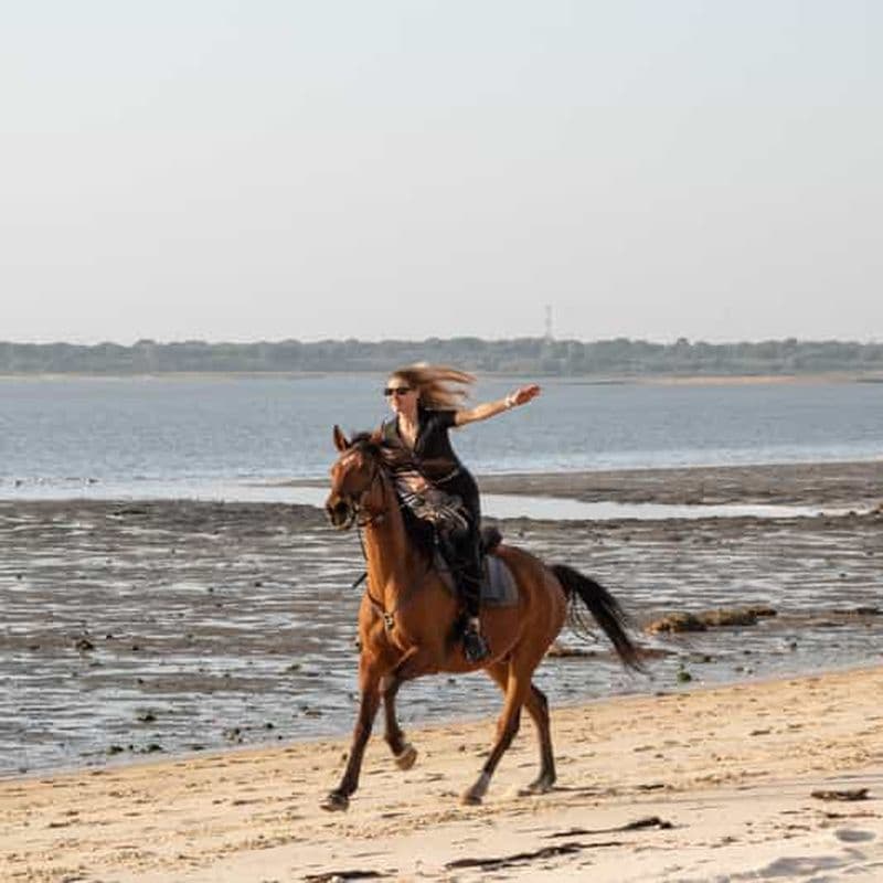 Équitation PRIVÉE sur la plage