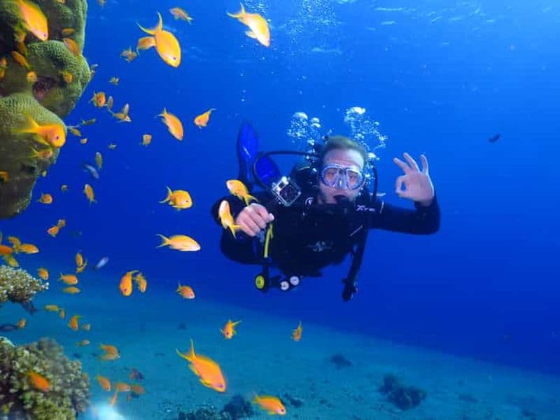 Billet Eliat : Introduction à la plongée sous-marine