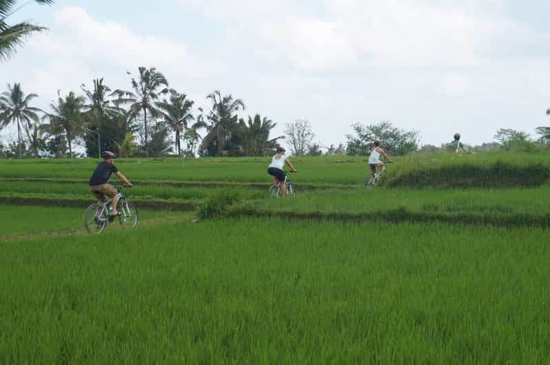 Visite guidée à vélo de la culture et de la nature de Kintamani